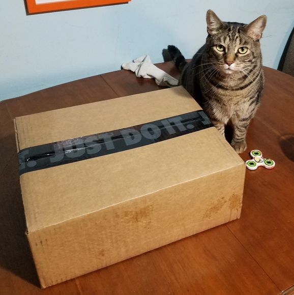 Meet your Posher, Robert - Picture 3 of 3